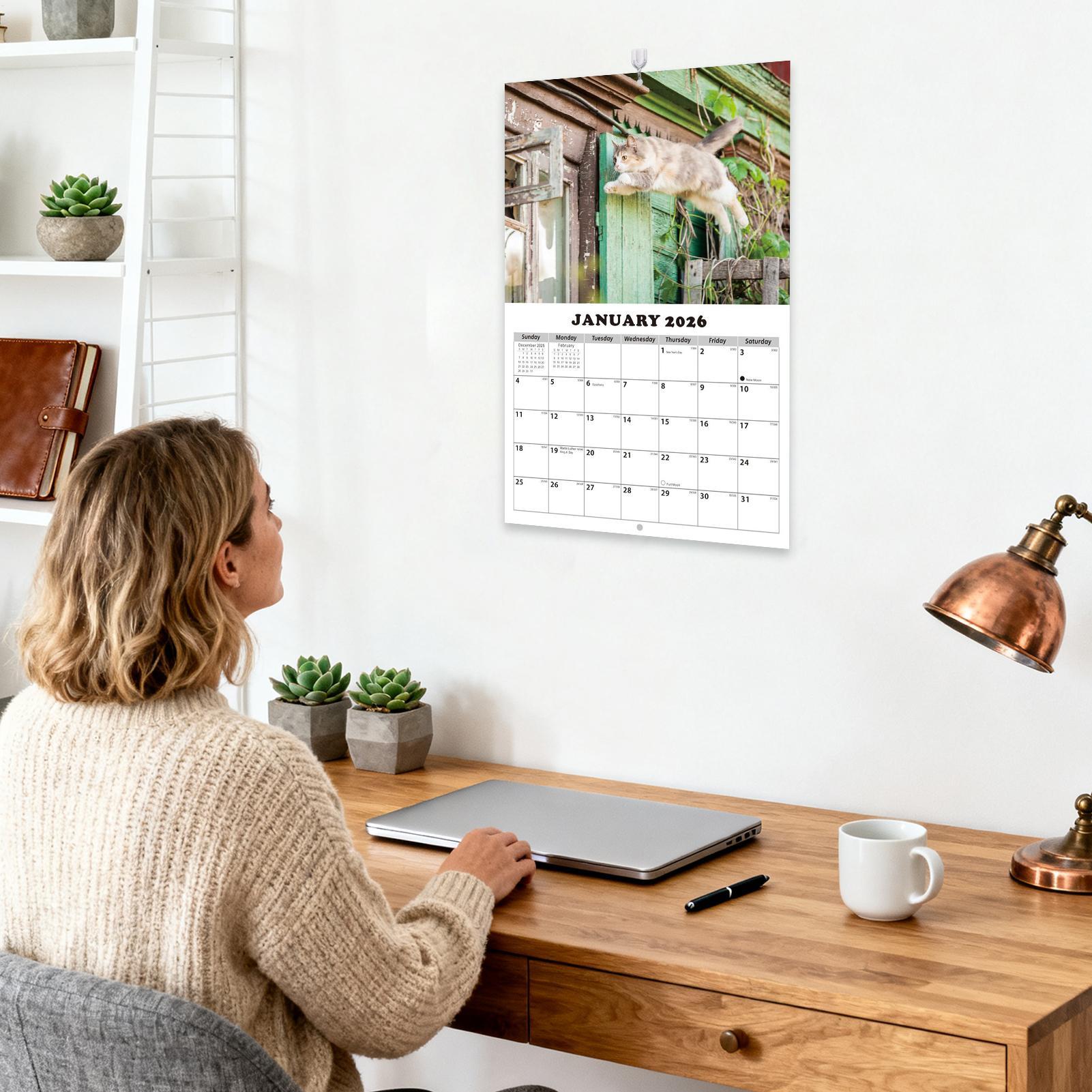 English Home Office - 2026 القط الإنجليزية جدار التقويم 13