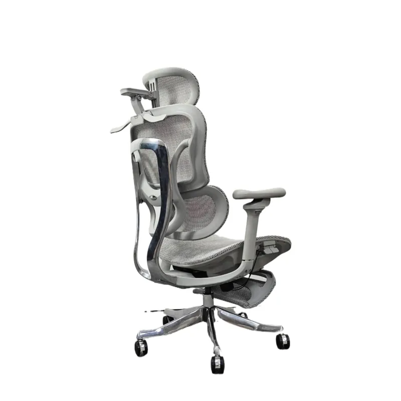 كرسي مكتب مريح للعمل على الكمب - مراجعة Home Office Ergonomics وسعره